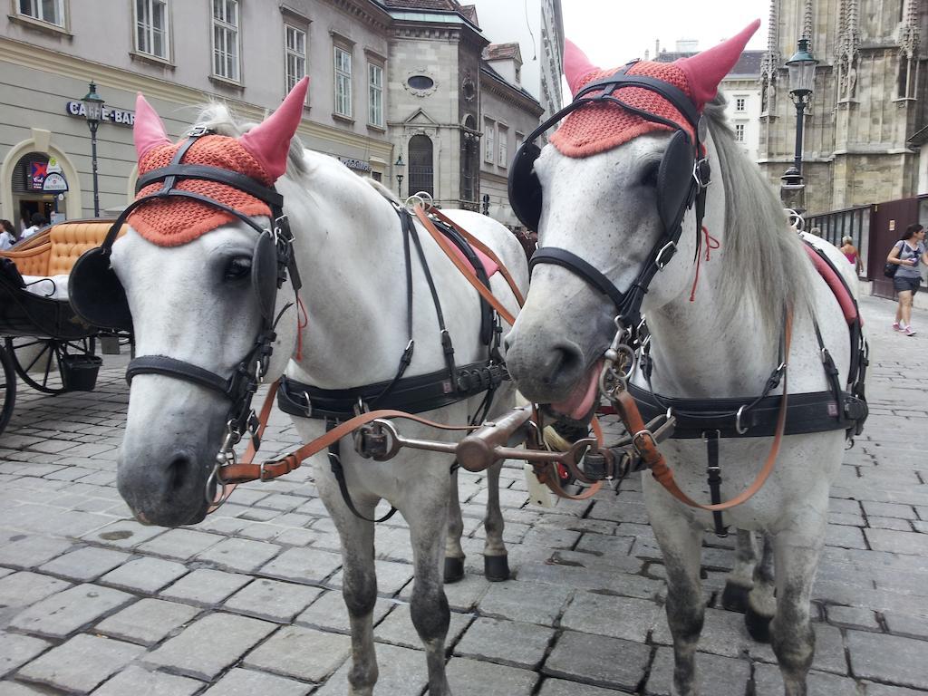 Hanna Apartment Wiedeń Pokój zdjęcie